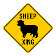sheep